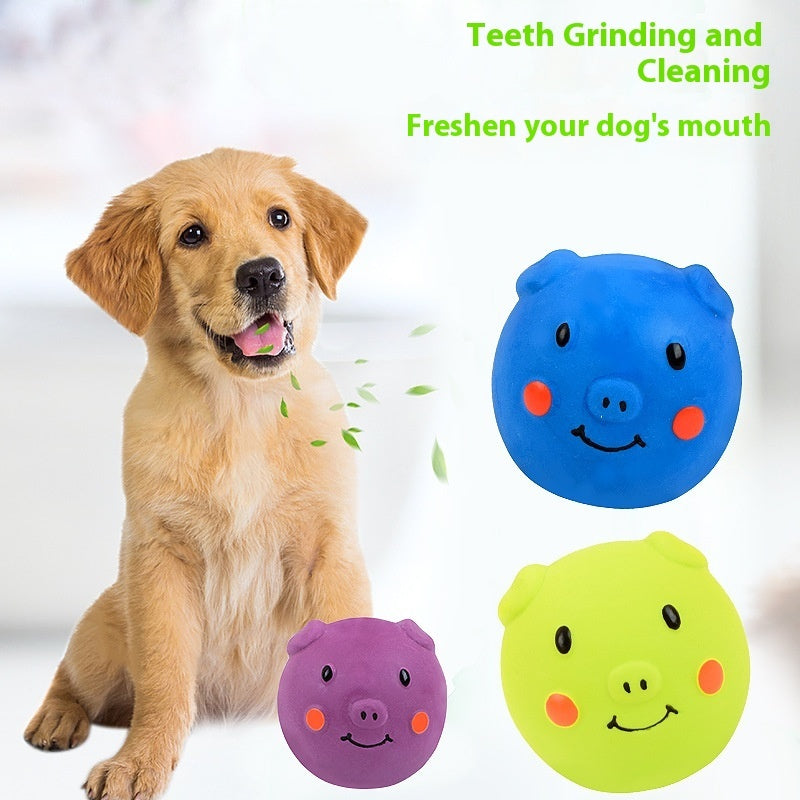 Pet Toy Ball Latex Vocal Pig Header